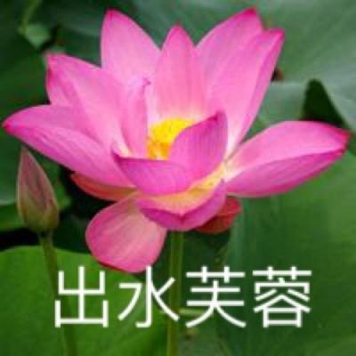 突击队行动吃鸡战游戏下载